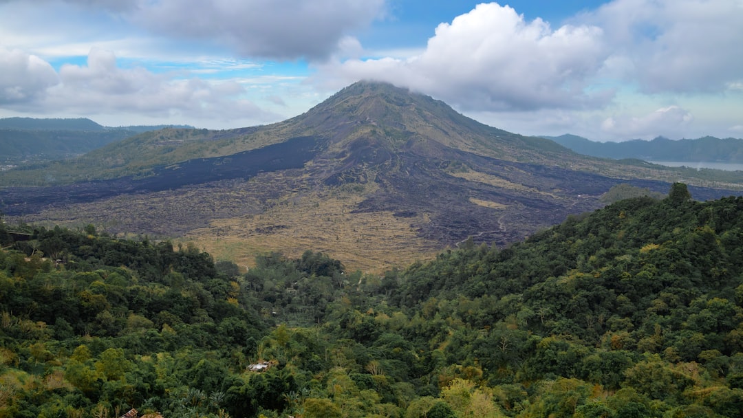 Black Lava Field
