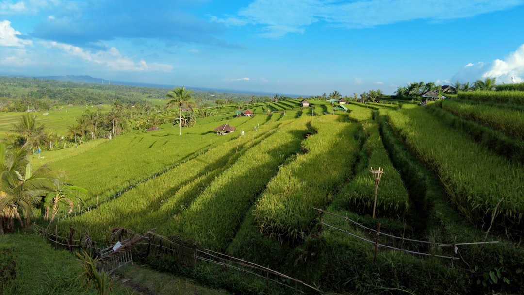 Irrigation Channels