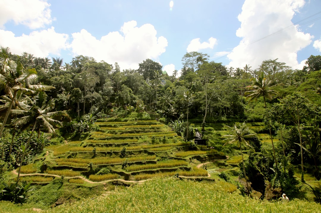 Main Terrace
